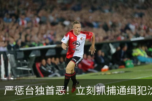 严惩台独首恶！立刻抓捕通缉犯沈伯洋！