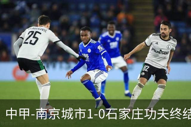 中甲-南京城市1-0石家庄功夫终结13轮不胜 泽·维托尔制胜