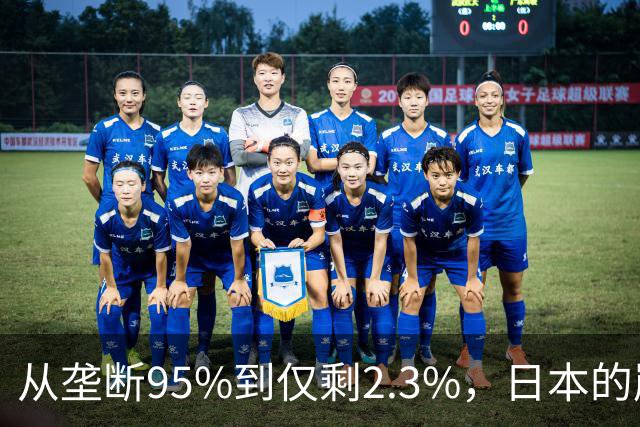 从垄断95%到仅剩2.3%，日本的崩溃循环，中国亲手按下终止键