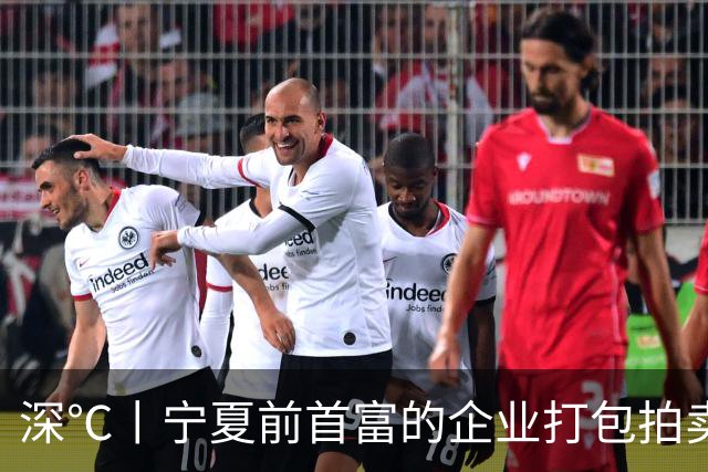深℃丨宁夏前首富的企业打包拍卖，起拍价7.39亿