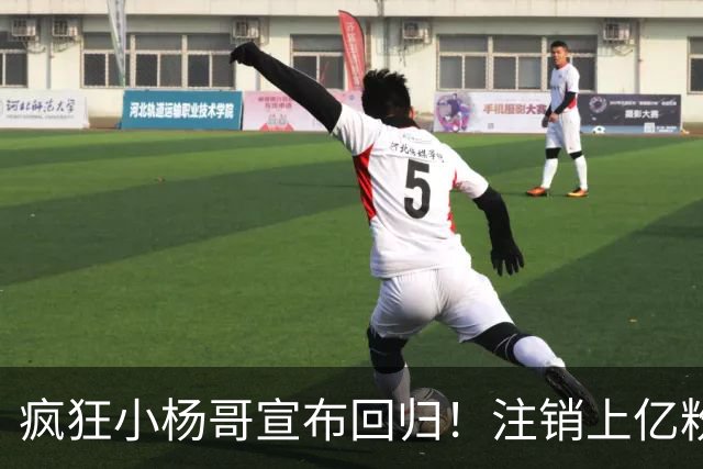 疯狂小杨哥宣布回归！注销上亿粉丝账号，嘴哥一句师傅显师徒情谊
